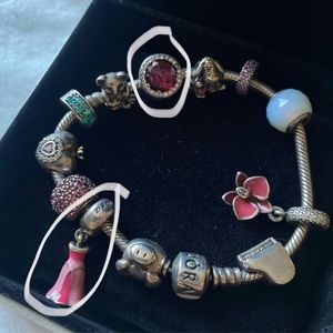 Pandora Aurora and Faceted Charm only